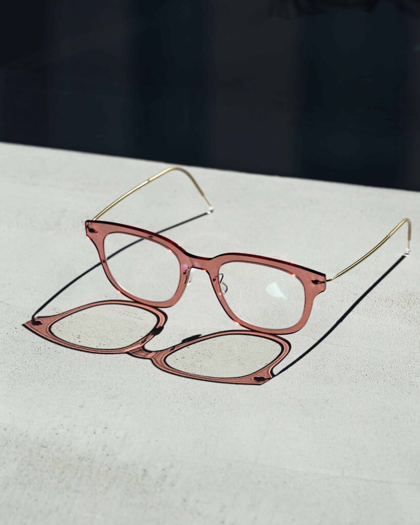 Mestrinixtheolindbergetomfordendior-46